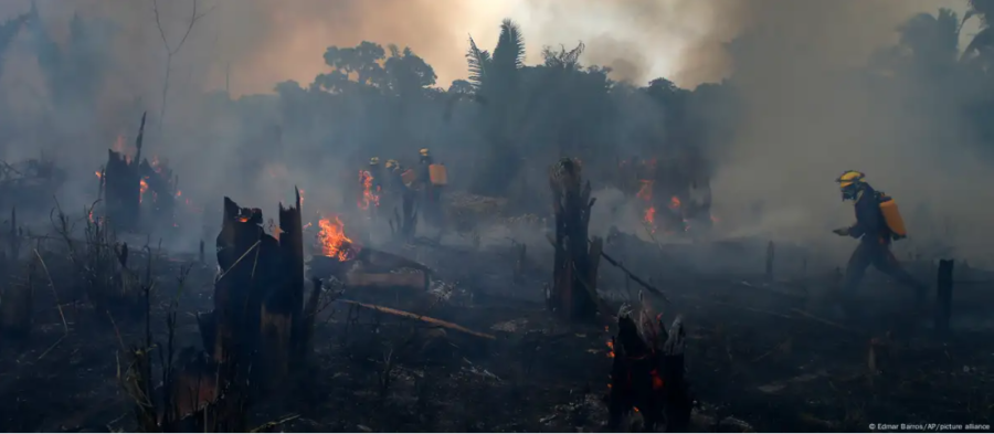 Como é possível financiar a proteção da Amazônia?